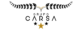 Grupo CarSa